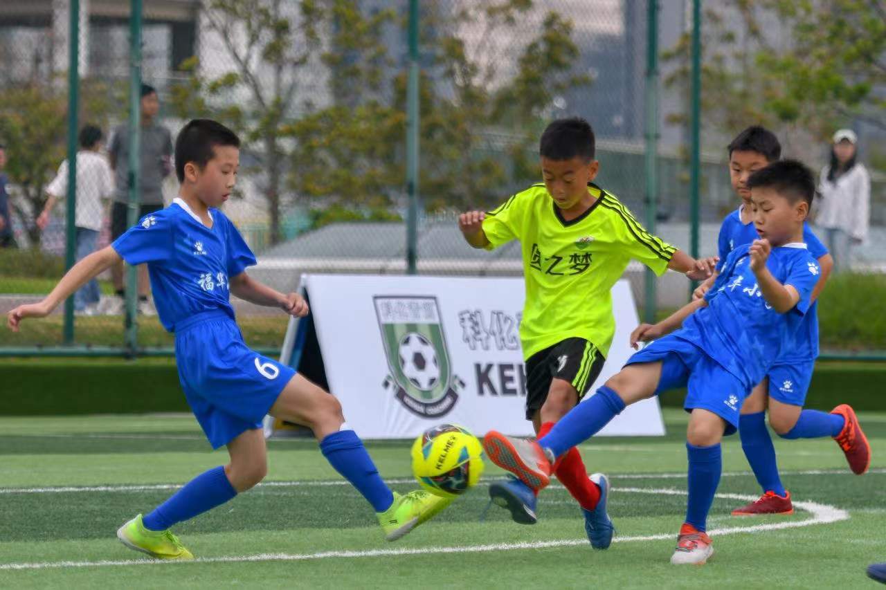 留了晋级的 留了晋级的